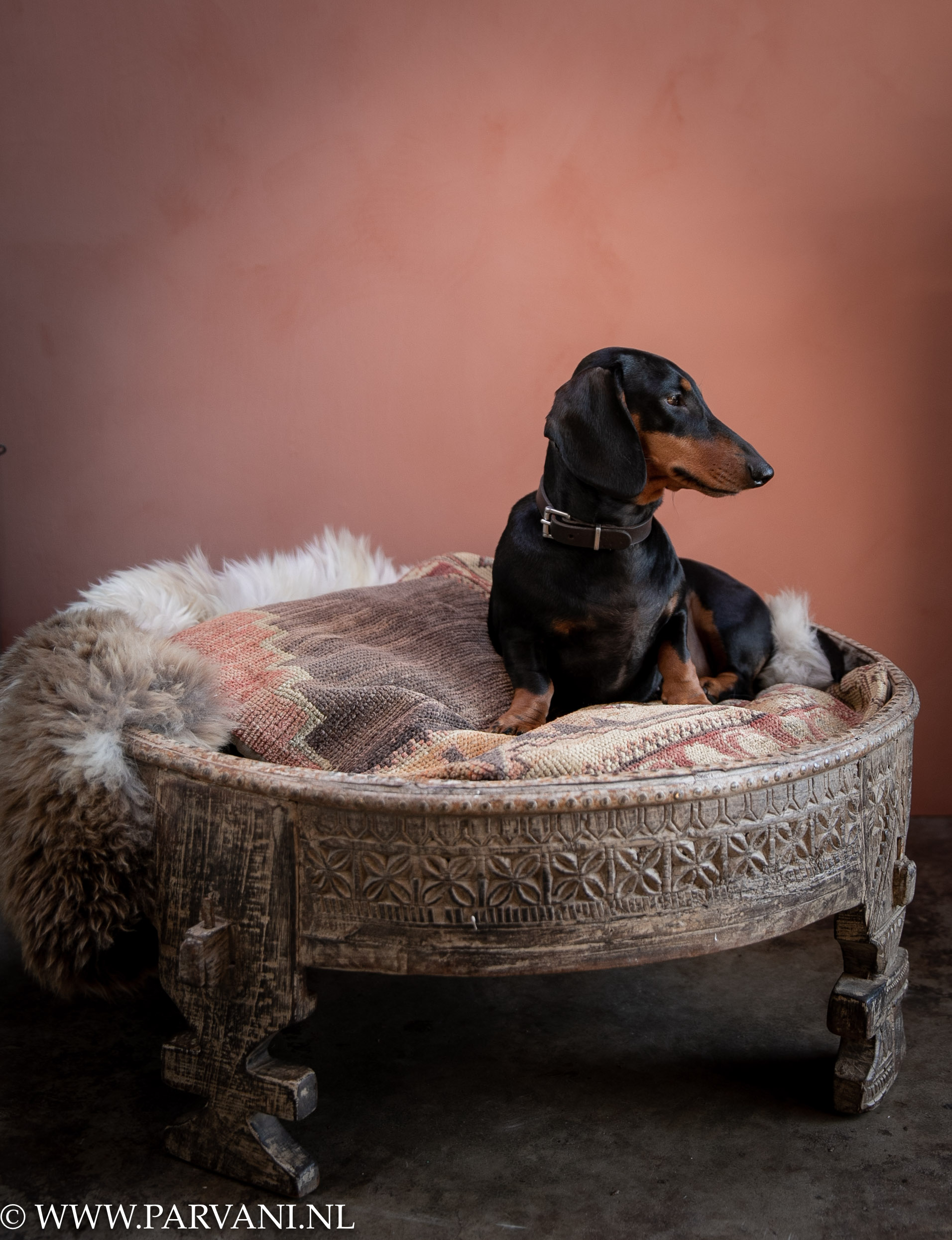 Lage ronde oude chakki salontafel met houtsnijwerk uit India leuk als hondenmand hondenbed