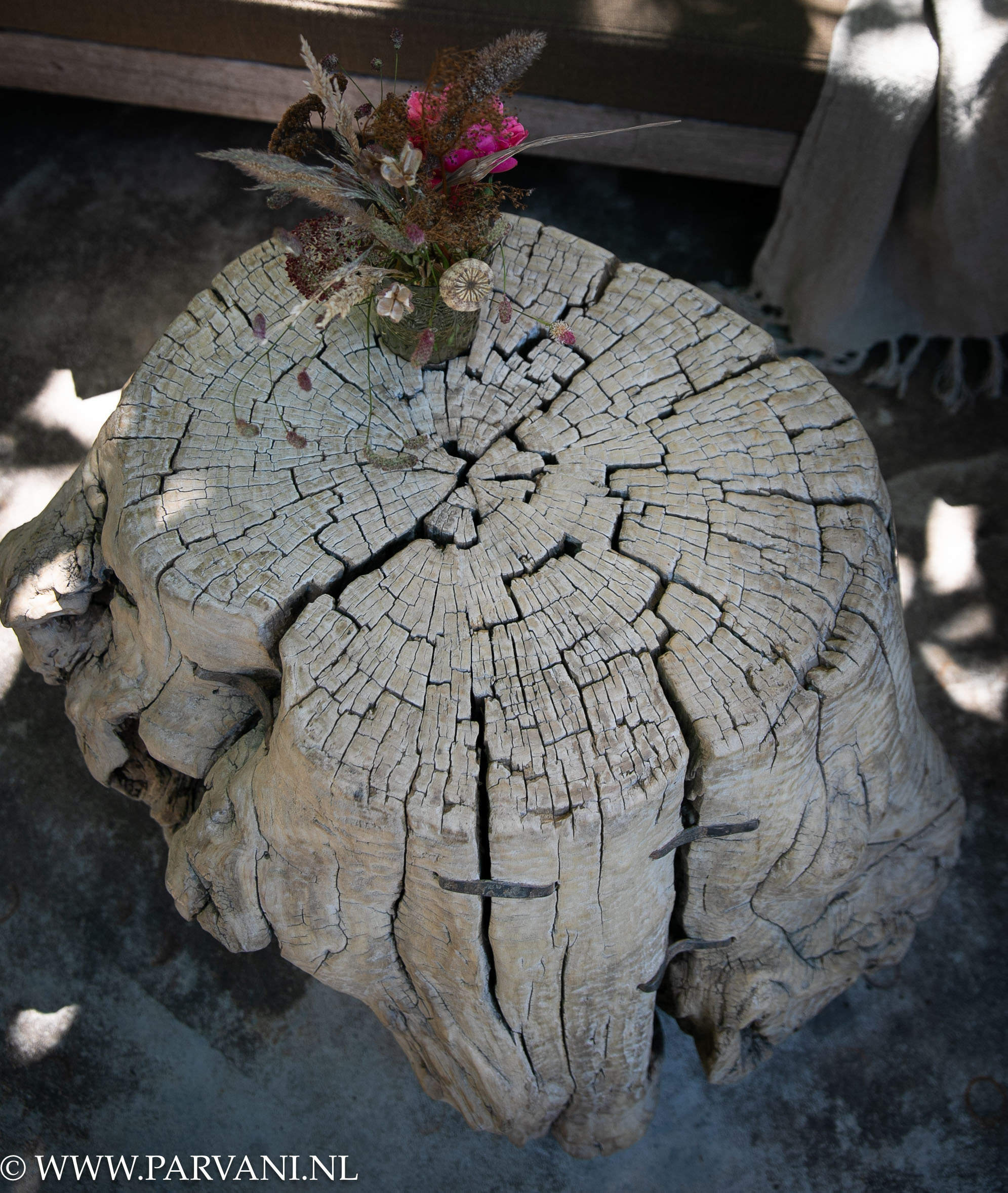 Unieke naturelle lichte boomstam bijzettafel salontafel met organische vorm
